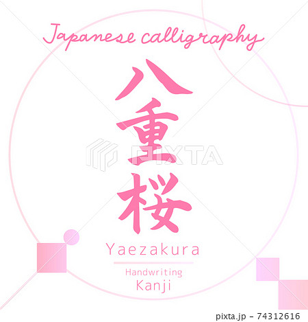 八重桜・Yaezakura(筆文字・手書き) 八重桜・Yaezakura(筆文字・手書き) 74312616