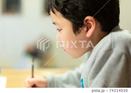 夜になって宿題をする小学生 74314030