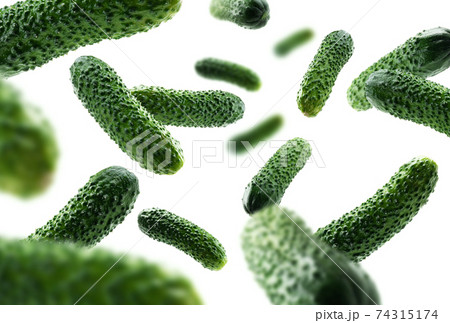 Green cucumbers levitate on a white background Green cucumbers levitate on a white background 74315174