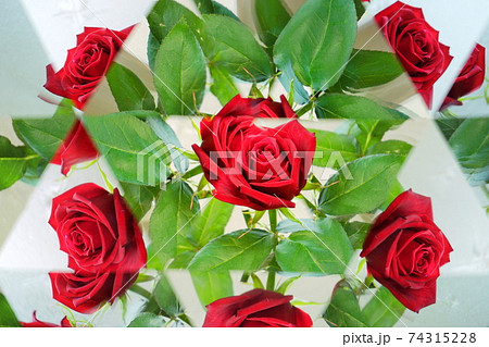 薔薇一輪・万華鏡1 薔薇一輪・万華鏡1 74315228