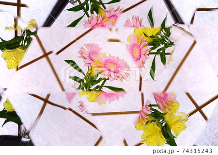 障子背景・ガーベラ・アルストロメリア・万華鏡7 74315243