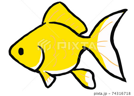 Illustration Of A Yellow Ryukin Goldfish Stock Illustration