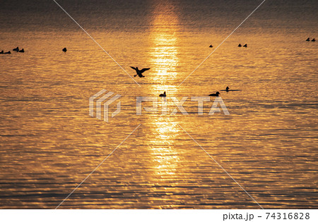 冬の海　夜明け 74316828