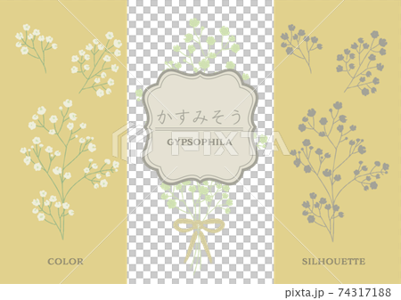 カスミソウのイラスト カスミソウのイラスト 74317188