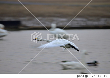 割子そば 割子そば 74317219