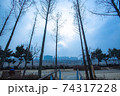 森林 森 樹木 74317228
