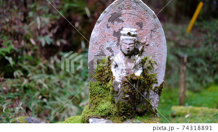草木とお地蔵様 74318891