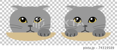 偷窺灰貓 偷窺灰貓 74319589