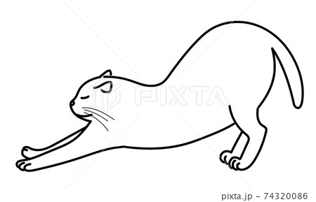 伸びをする猫 線画のイラスト素材