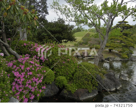 大阪府吹田市千里万博公園の日本庭園とつつじの写真素材