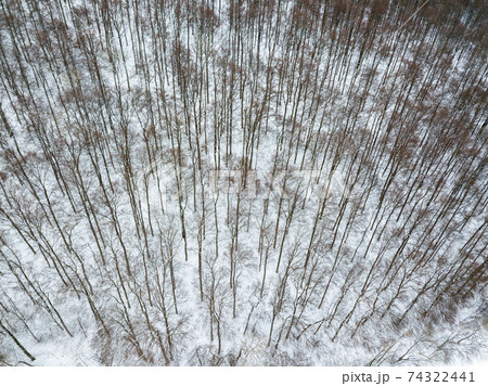 Aerial view on winter landscape with trees in deciduous forest covered with hoarfrost 74322441
