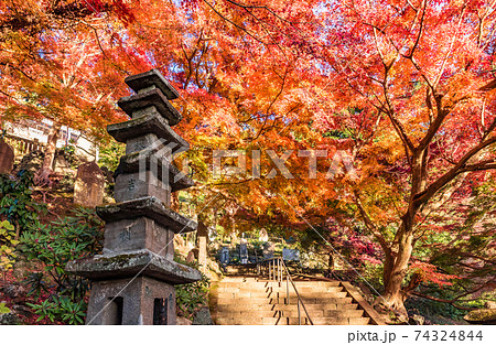 鎌倉 建長寺半僧坊の紅葉 日本の写真素材 [74324844] - PIXTA