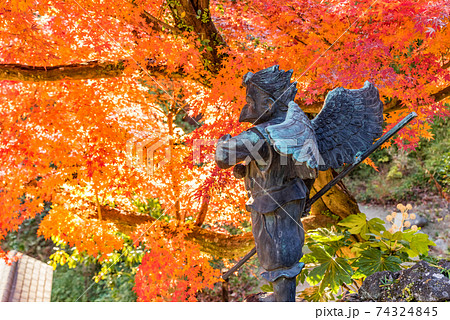 鎌倉　建長寺半僧坊の紅葉　日本 74324845