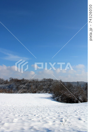 February nature winter scenes of Zagreb's surroundings, Croatia 74326050