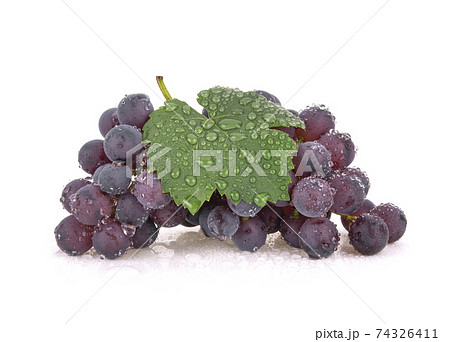 Grapes with drop of water isolated on white background. 74326411