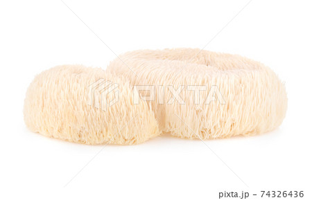 Lion mane mushroom isolated on white background. Lion mane mushroom isolated on white background. 74326436