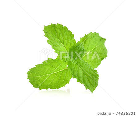 Mint leaves isolated on white background. Mint leaves isolated on white background. 74326501
