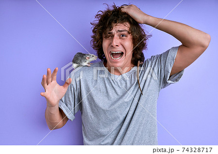 young male screams fearing decorative rat young male screams fearing decorative rat 74328717