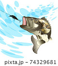 Bass fish, fishing for perch with a bait on a splash water background 74329681