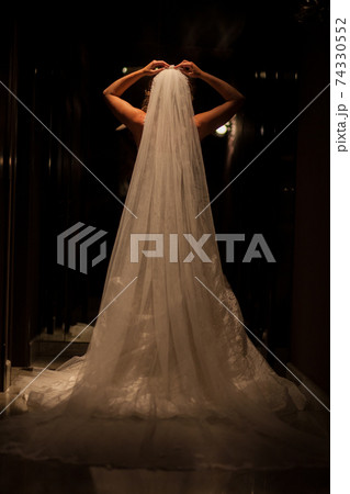 Beautiful bride in luxurious wedding dress in a dark hall. Beautiful bride with stylish make up and 74330552