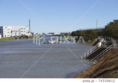足立区鹿浜:増水した新芝川土手にて(令和元年台風19号) 足立区鹿浜:増水した新芝川土手にて(令和元年台風19号) 74330612