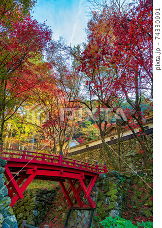 両界山 横蔵寺 (11月 多治見 秋) 両界山 横蔵寺 (11月 多治見 秋) 74330991