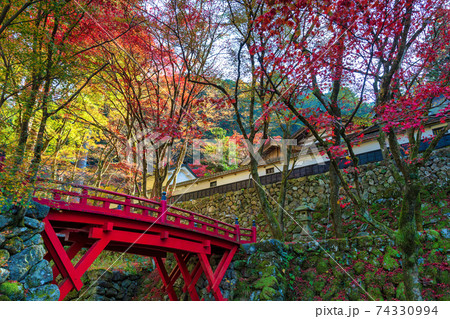 両界山 横蔵寺 (11月 多治見 秋) 両界山 横蔵寺 (11月 多治見 秋) 74330994