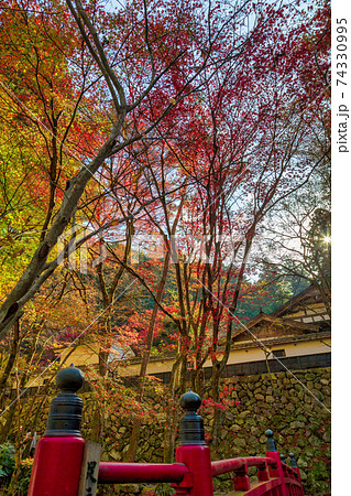 両界山 横蔵寺 (11月　多治見　秋) 74330995