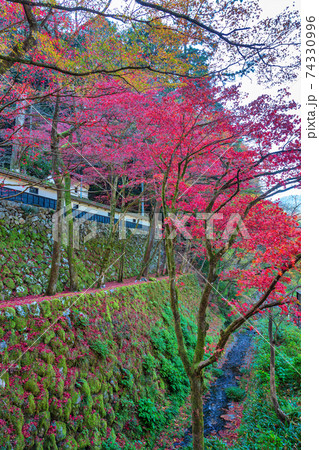 両界山 横蔵寺 (11月　多治見　秋) 74330996