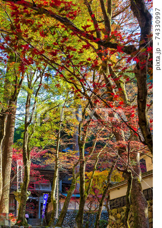 両界山 横蔵寺 (11月 多治見 秋) 両界山 横蔵寺 (11月 多治見 秋) 74330997