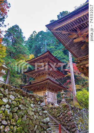 両界山 横蔵寺 (11月　多治見　秋) 74331017