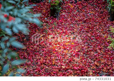 両界山 横蔵寺 (11月　多治見　秋) 74331031