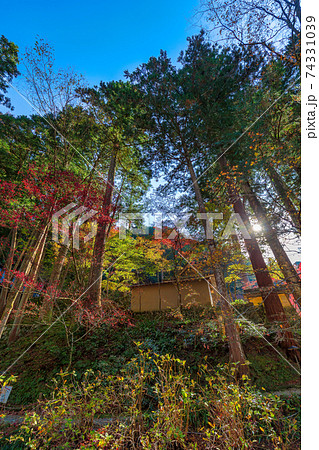 両界山 横蔵寺 (11月　多治見　秋) 74331039