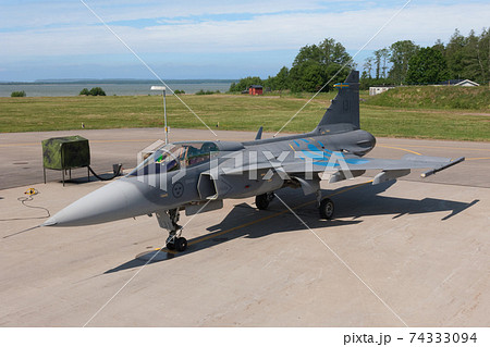 スウェーデン空軍サーブJAS39グリペン特別塗装機 スウェーデン空軍サーブJAS39グリペン特別塗装機 74333094