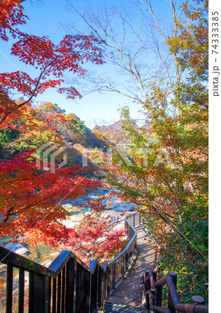諏訪峡　もみじ公園　遊歩道より　利根川　秋の景色　みなかみ町　　　 74333385