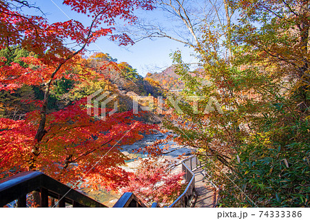 諏訪峡 もみじ公園 遊歩道より 利根川 秋の景色 みなかみ町 の写真素材