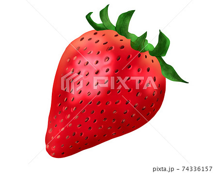 いちご イチゴ ストロベリー 果物 イラストのイラスト素材 74336157 Pixta