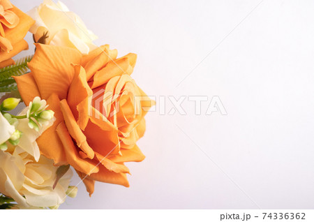 pink and white flowers in vase on white background pink and white flowers in vase on white background 74336362