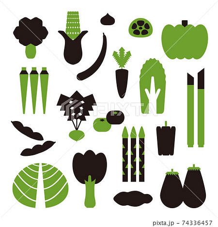 シンプルな形と色の野菜たち シンプルな形と色の野菜たち 74336457
