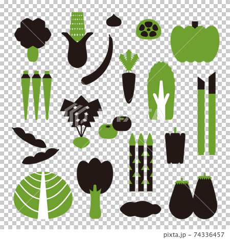 シンプルな形と色の野菜たち シンプルな形と色の野菜たち 74336457