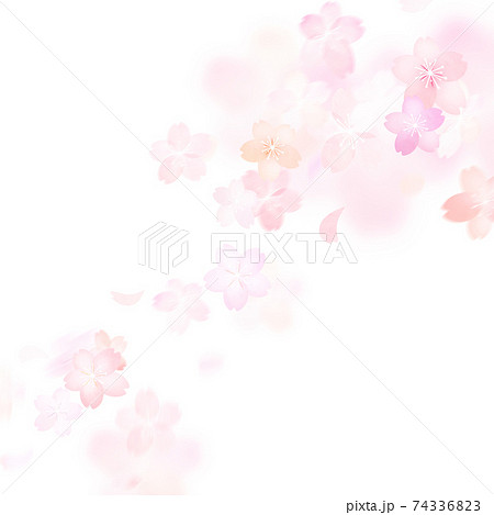 シンプルで美しい桜の背景 - 複数のバリエーションがありますの