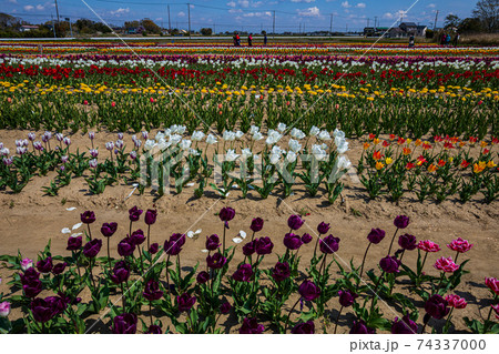 心も軽く、身も軽く、花咲く大地を駆け回る 74337000