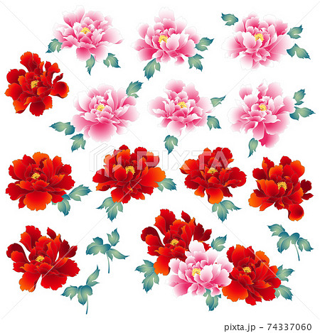 日本繪畫風格的牡丹花，-插圖素材[74337060] - PIXTA圖庫