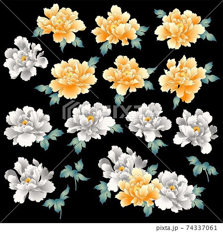 日本繪畫風格的牡丹花，-插圖素材[74337061] - PIXTA圖庫