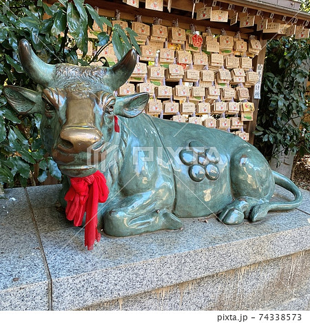 神社の使い手の牛 74338573