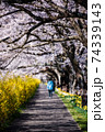 白石川堤一目千本桜（大河原） 74339143
