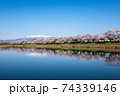 白石川堤一目千本桜（大河原） 74339146