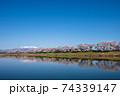 白石川堤一目千本桜（大河原）	 74339147