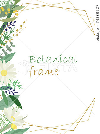 ボタニカルフレームイラスト 招待状やカードのテンプレート 白背景 ベクター 切り抜き のイラスト素材