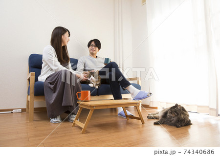 猫と生活、二匹の猫、長毛種のノルウェージャン 74340686
